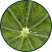 Vitamin C